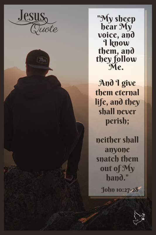 Jesus Quote - John 10:27-28