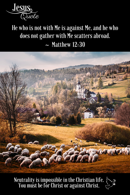 Jesus Quote! With Me or Against Me ~ Matthew 12:30