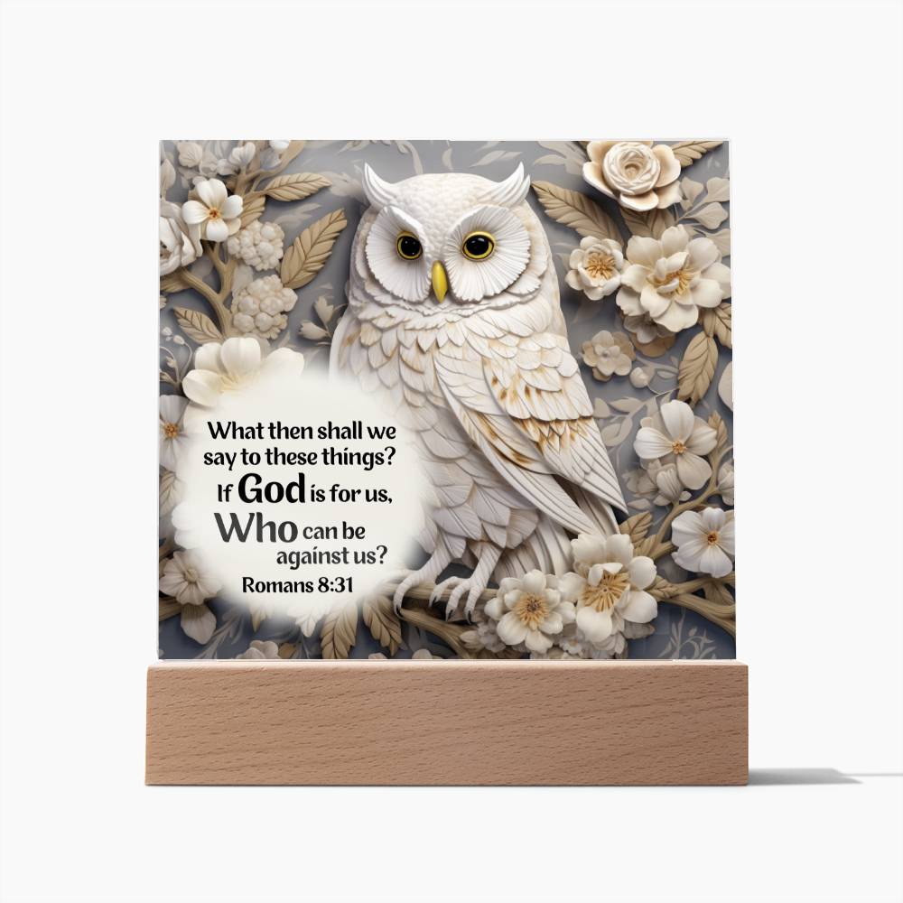 Bible Verse Acrylic Plaque - Who Can Be Against Us - Owl