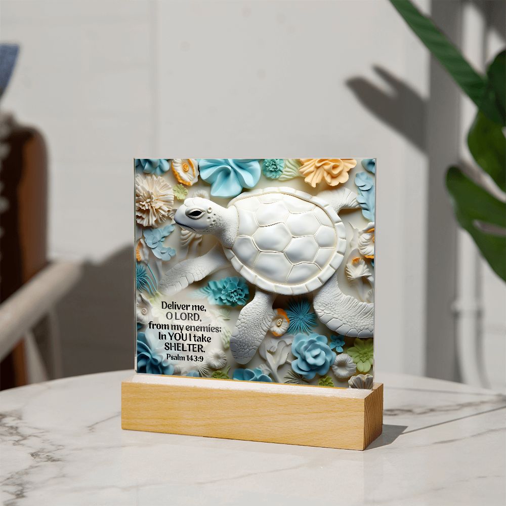 Bible Verse 3D Turtle Home Decor Acrylic Plaque