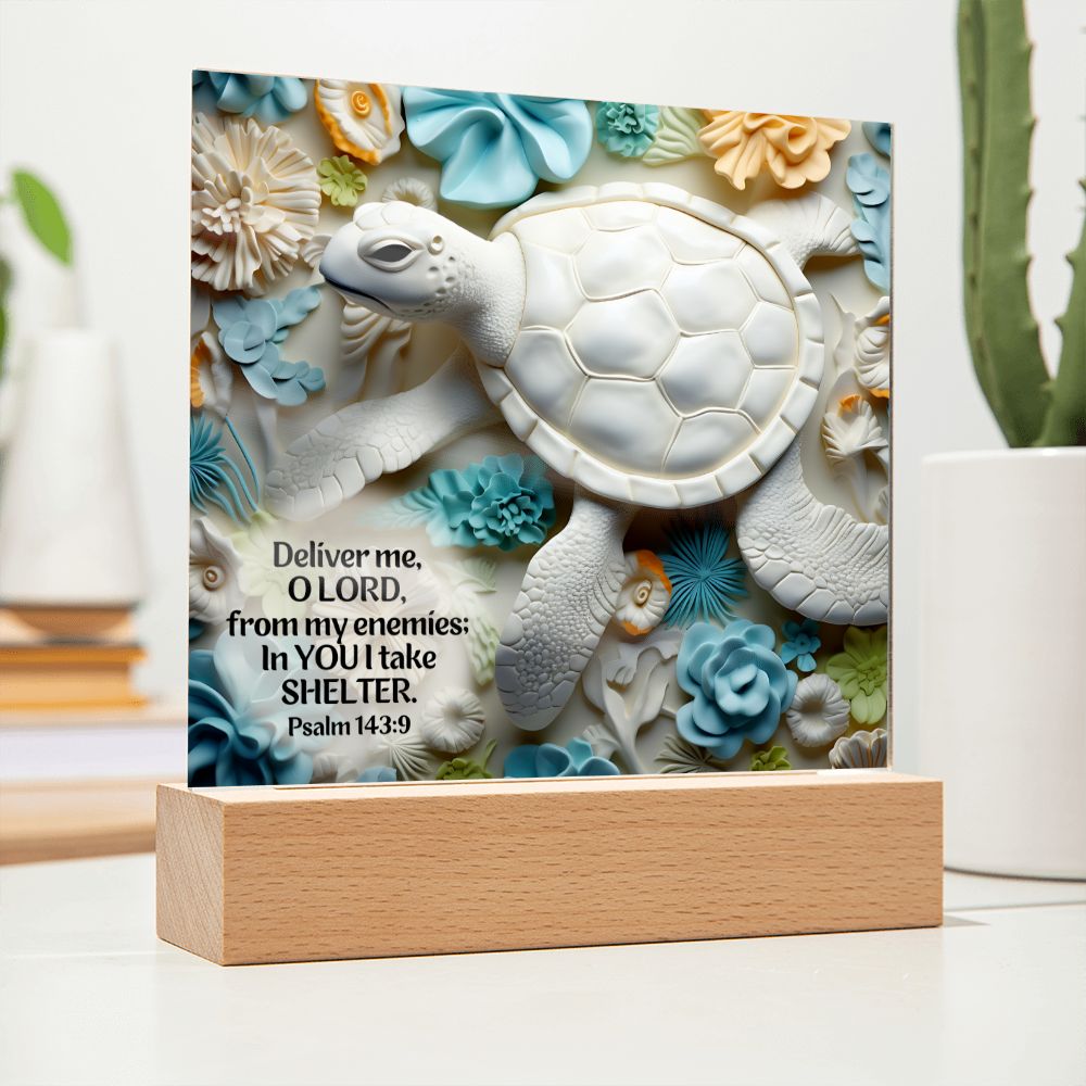 Bible Verse 3D Turtle Home Decor Acrylic Plaque