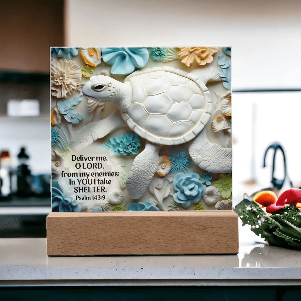 Bible Verse 3D Turtle Home Decor Acrylic Plaque