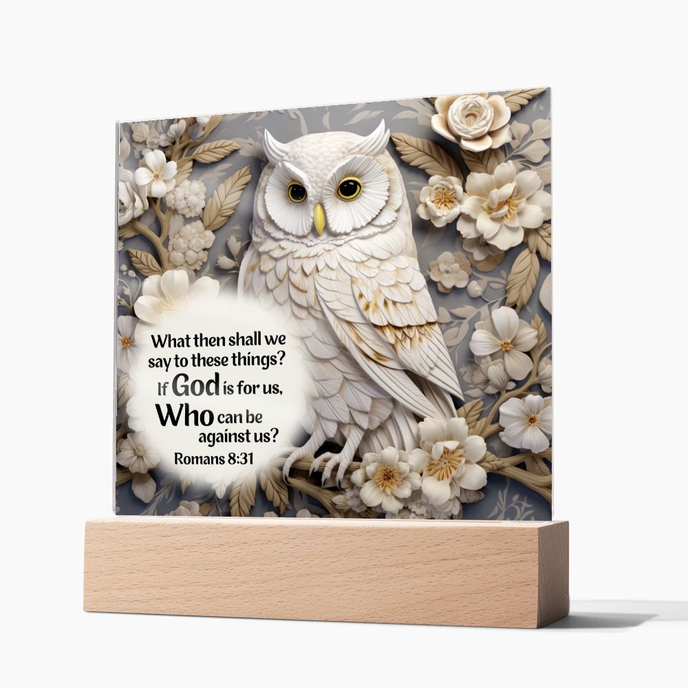 Bible Verse Acrylic Plaque - Who Can Be Against Us - Owl