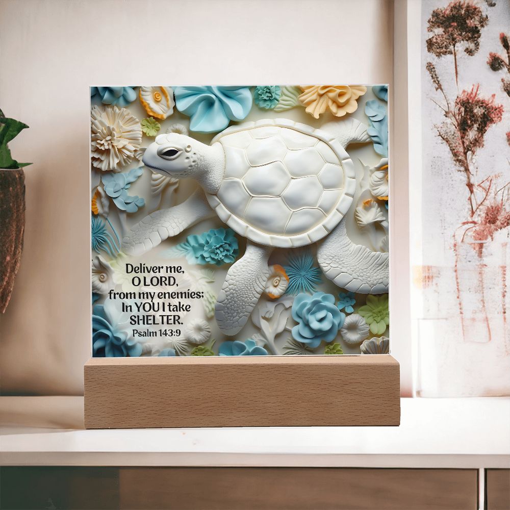 Bible Verse 3D Turtle Home Decor Acrylic Plaque