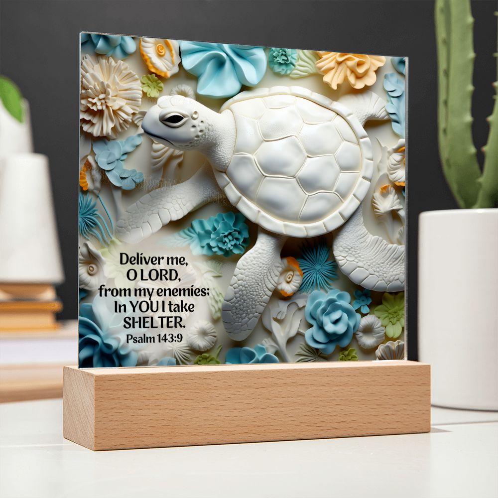 Bible Verse 3D Turtle Home Decor Acrylic Plaque